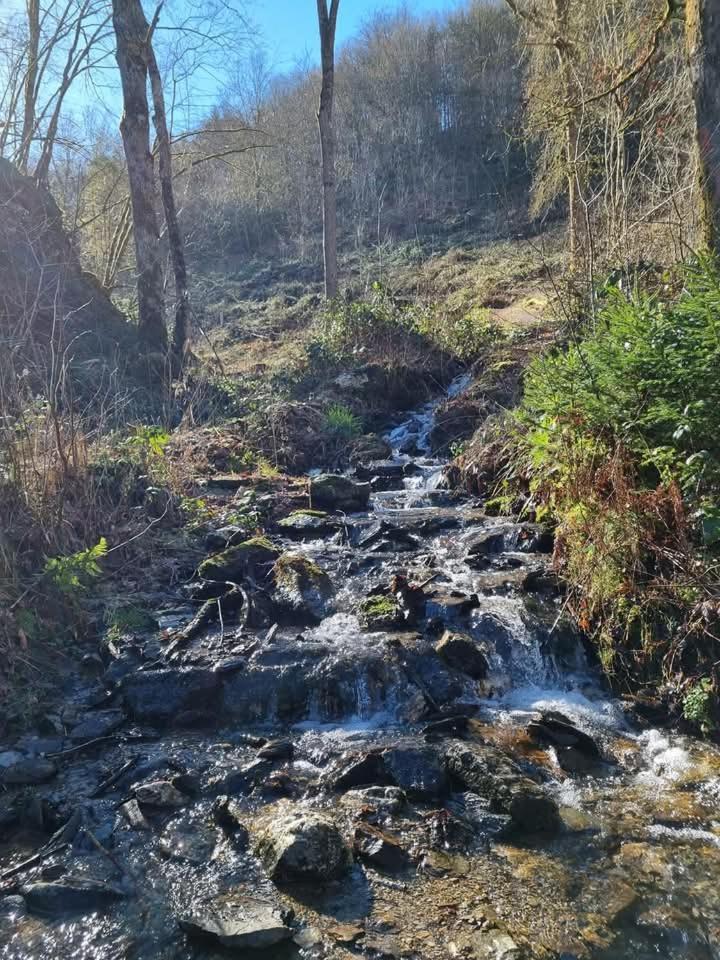 Au Vieux Lavoir Alle Luaran gambar